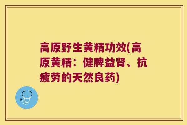 高原野生黄精功效(高原黄精：健脾益、的天然良药)