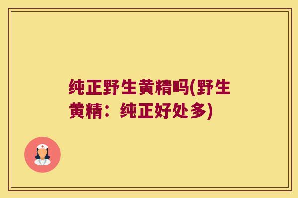 纯正野生黄精吗(野生黄精:纯正好处多) 纯正野生黄精吗(野生黄精:纯正好处多)
