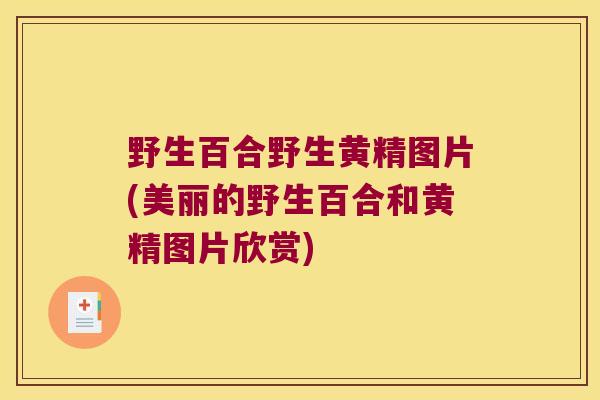 野生百合野生黄精图片(美丽的野生百合和黄精图片欣赏)