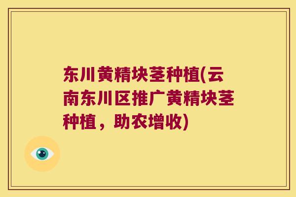 东川黄精块茎种植(云南东川区推广黄精块茎种植，助农增收)