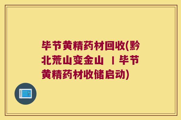 毕节黄精药材回收(黔北荒山变金山 丨毕节黄精药材收储启动)