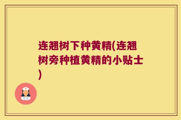 连翘树下种黄精(连翘树旁种植黄精的小贴士) 连翘树下种黄精(连翘树旁种植黄精的小贴士)