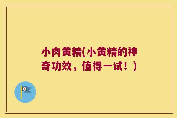 小肉黄精(小黄精的神奇功效，值得一试！)