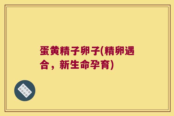 蛋黄精子卵子(精卵遇合，新生命孕育)