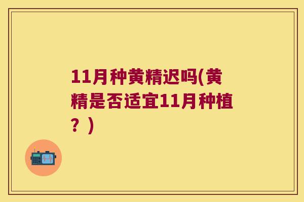 11月种黄精迟吗(黄精是否适宜11月种植？)