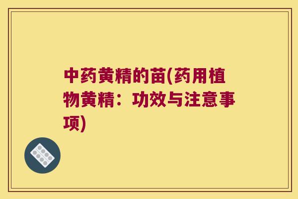 黄精的苗(药用植物黄精：功效与注意事项)