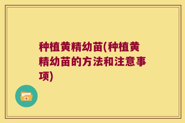种植黄精幼苗(种植黄精幼苗的方法和注意事项)