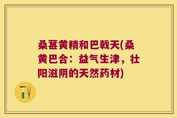 桑葚黄精和巴戟天(桑黄巴合：益气生津，壮阳滋阴的天然药材)