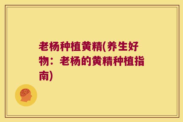 老杨种植黄精(养生好物：老杨的黄精种植指南)