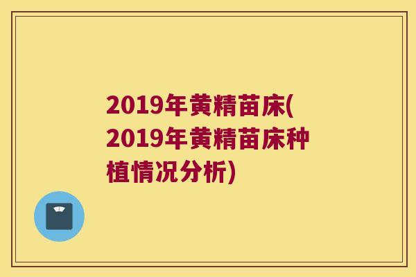 2019年黄精苗床(2019年黄精苗床种植情况分析)