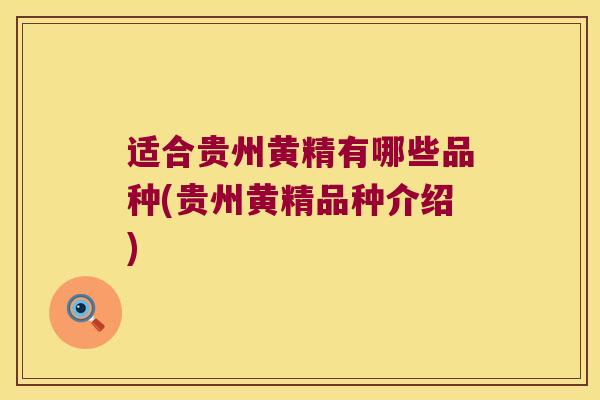 适合贵州黄精有哪些品种(贵州黄精品种介绍)