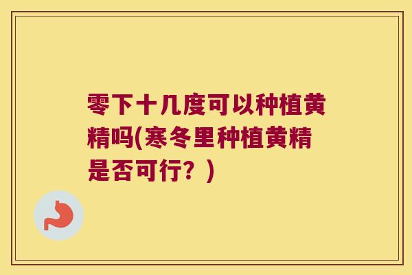 零下十几度可以种植黄精吗(寒冬里种植黄精是否可行？)