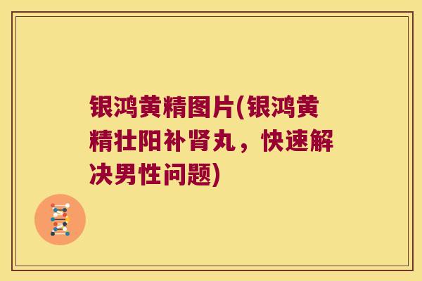 银鸿黄精图片(银鸿黄精壮阳补丸，快速解决男性问题)