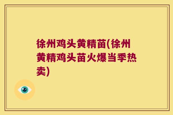 徐州鸡头黄精苗(徐州黄精鸡头苗火爆当季热卖)