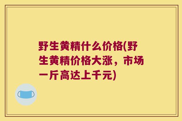 野生黄精什么价格(野生黄精价格大涨，市场一斤高达上千元)
