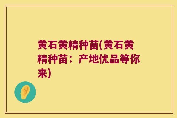 黄石黄精种苗(黄石黄精种苗：产地优品等你来)