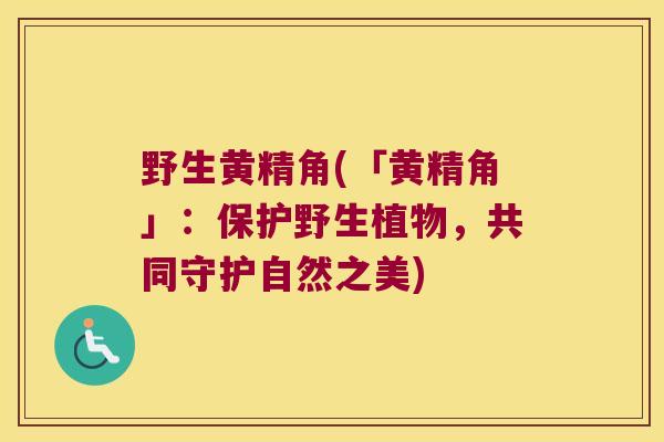 野生黄精角(「黄精角」：保护野生植物，共同守护自然之美)