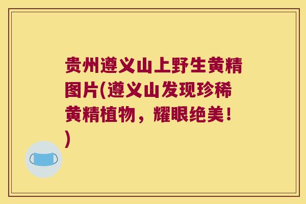 贵州遵义山上野生黄精图片(遵义山发现珍稀黄精植物，耀眼绝美！)