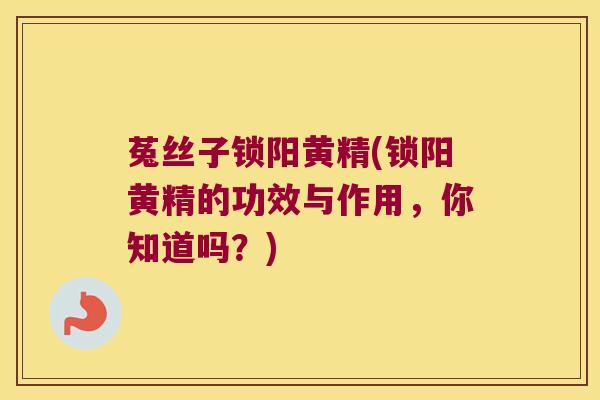 菟丝子锁阳黄精(锁阳黄精的功效与作用，你知道吗？)