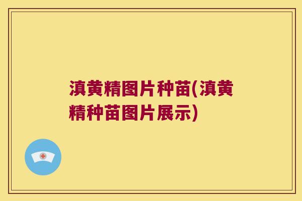滇黄精图片种苗(滇黄精种苗图片展示)