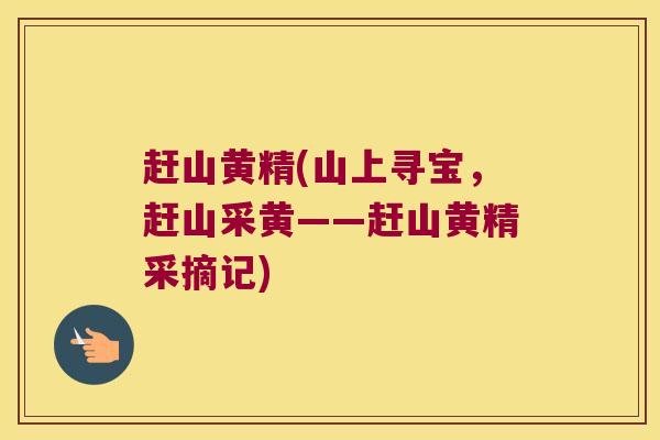 赶山黄精(山上寻宝，赶山采黄——赶山黄精采摘记)