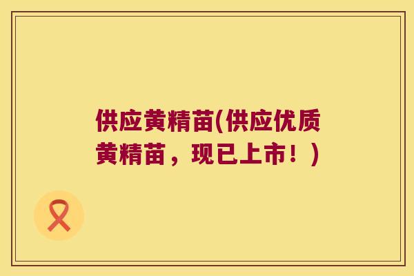 供应黄精苗(供应优质黄精苗，现已上市！)