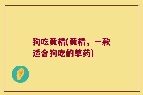 狗吃黄精(黄精，一款适合狗吃的草药)