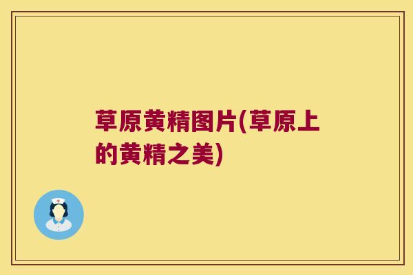 草原黄精图片(草原上的黄精之美)