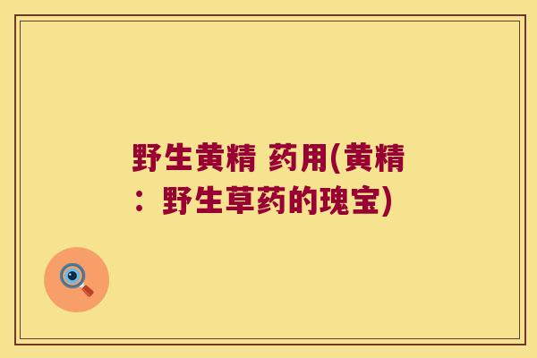 野生黄精 药用(黄精：野生草药的瑰宝)