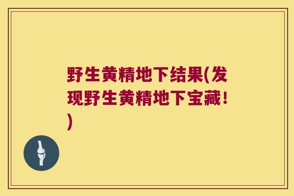 野生黄精地下结果(发现野生黄精地下宝藏！)