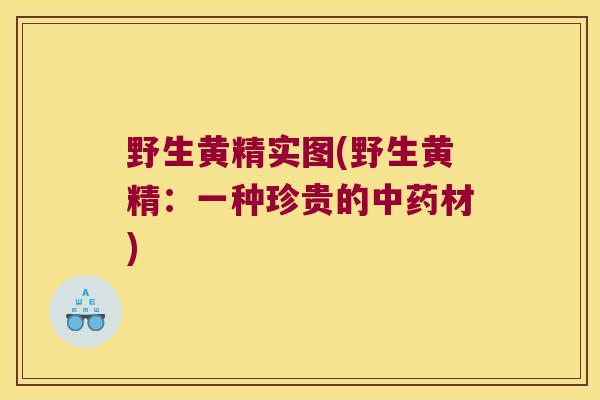 野生黄精实图(野生黄精：一种珍贵的材)