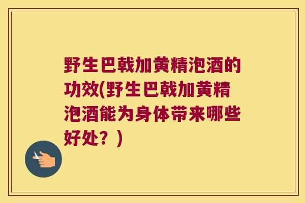 野生巴戟加黄精泡酒的功效(野生巴戟加黄精泡酒能为身体带来哪些好处？)
