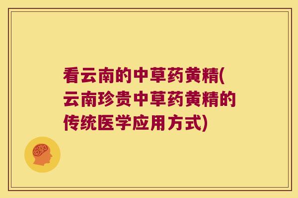 看云南的中草药黄精(云南珍贵中草药黄精的传统医学应用方式)