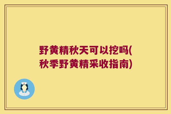 野黄精秋天可以挖吗(秋季野黄精采收指南)