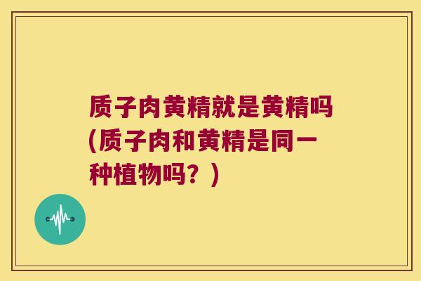 质子肉黄精就是黄精吗(质子肉和黄精是同一种植物吗？)