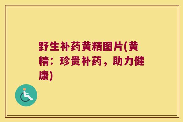 野生补药黄精图片(黄精：珍贵补药，助力健康)