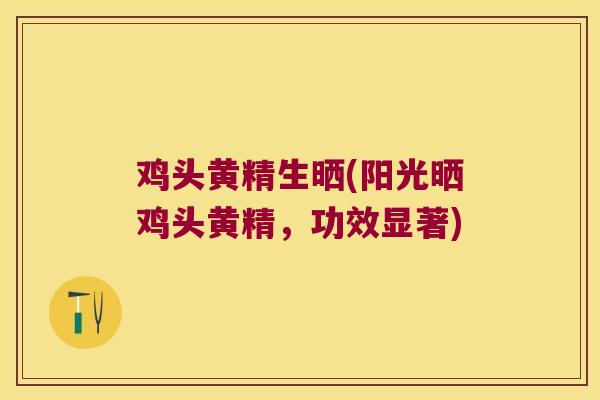 鸡头黄精生晒(阳光晒鸡头黄精，功效显著)