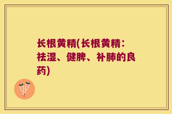 长根黄精(长根黄精:祛湿、健脾、补的良药) 长根黄精(长根黄精:祛湿、健脾、补的良药)