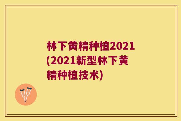 林下黄精种植2021(2021新型林下黄精种植技术)