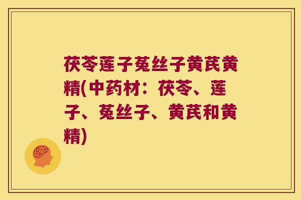 茯苓莲子菟丝子黄芪黄精(材:茯苓、莲子、菟丝子、黄芪和黄精) 茯苓莲子菟丝子黄芪黄精(材:茯苓、莲子、菟丝子、黄芪和黄精)