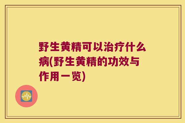 野生黄精可以什么(野生黄精的功效与作用一览)