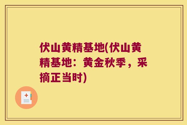 伏山黄精基地(伏山黄精基地:黄金秋季,采摘正当时) 伏山黄精基地(伏山黄精基地:黄金秋季,采摘正当时)