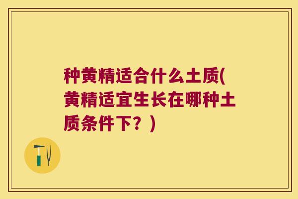 种黄精适合什么土质(黄精适宜生长在哪种土质条件下?) 种黄精适合什么土质(黄精适宜生长在哪种土质条件下?)