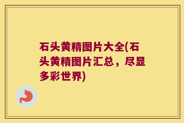 石头黄精图片大全(石头黄精图片汇总，尽显多彩世界)