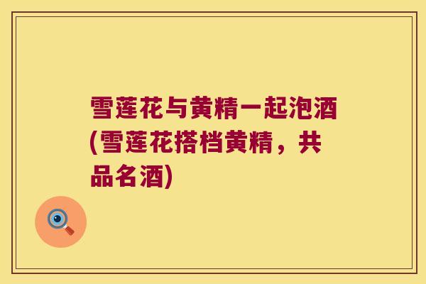 雪莲花与黄精一起泡酒(雪莲花搭档黄精，共品名酒)