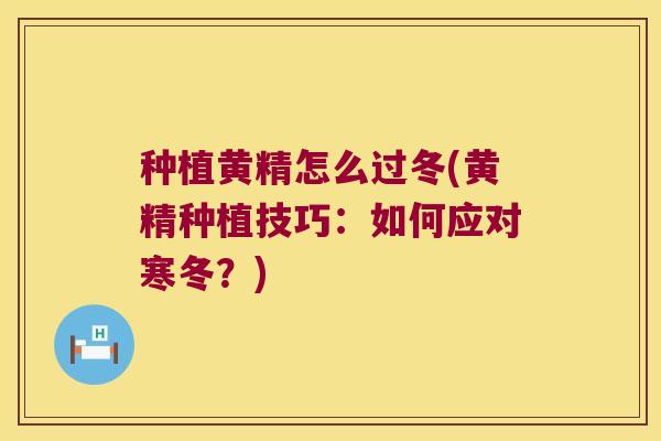 种植黄精怎么过冬(黄精种植技巧：如何应对寒冬？)