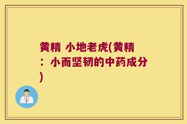 黄精 小地老虎(黄精:小而坚韧的成分) 黄精 小地老虎(黄精:小而坚韧的成分)