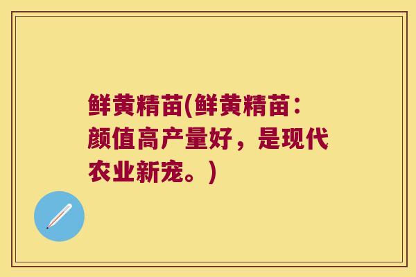 鲜黄精苗(鲜黄精苗:颜值高产量好,是现代农业新宠。) 鲜黄精苗(鲜黄精苗:颜值高产量好,是现代农业新宠。)