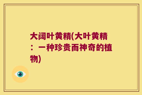 大阔叶黄精(大叶黄精：一种珍贵而神奇的植物)