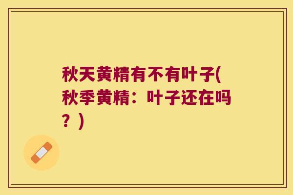 秋天黄精有不有叶子(秋季黄精:叶子还在吗?) 秋天黄精有不有叶子(秋季黄精:叶子还在吗?)